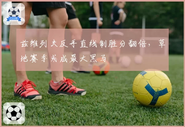 兹维列夫反手直线制胜分翻倍,草地赛季或成最大黑马