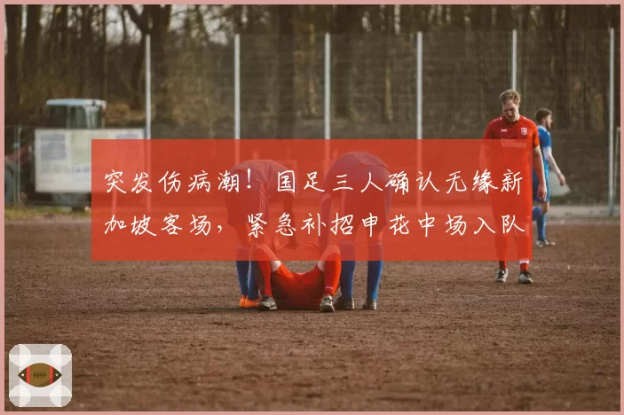 突发伤病潮！国足三人确认无缘新加坡客场，紧急补招申花中场入队