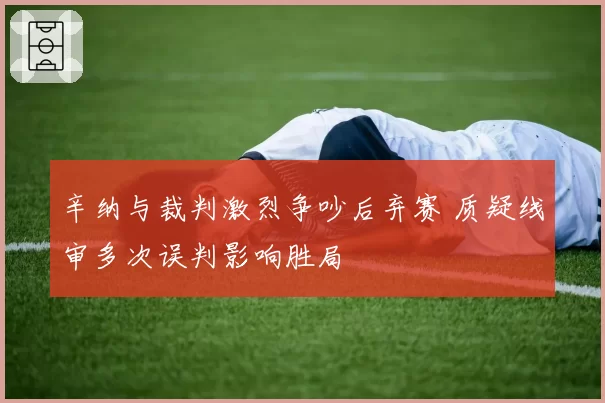 辛纳与裁判激烈争吵后弃赛 质疑线审多次误判影响胜局