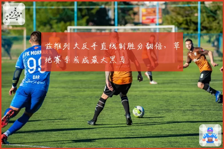 兹维列夫反手直线制胜分翻倍,草地赛季或成最大黑马
